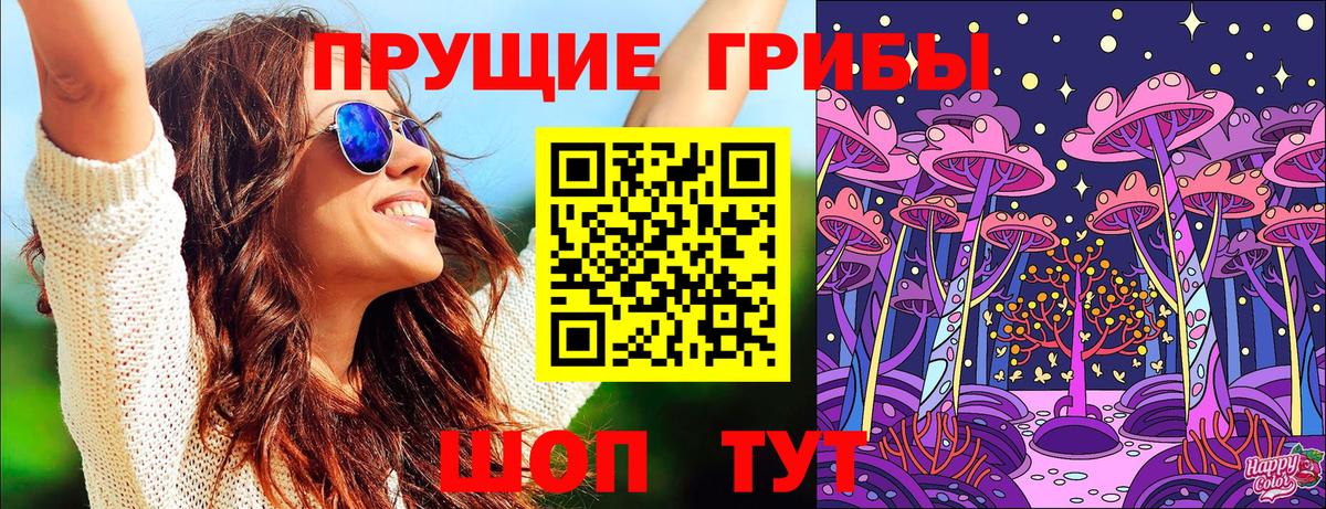 Галлюциногенные грибы ЛСД  Вход с VPN  Новоалександровск  Псилоцибиновые грибы ЛСД 