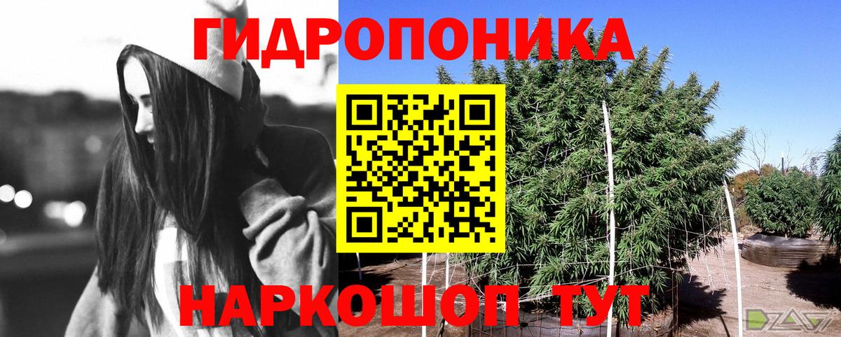 Марихуана Bruce Banner  МАРИХУАНА сатива  Вход с VPN  Каннабис план  Новоалександровск 